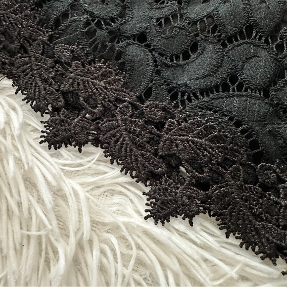 Francesca’s Black Lace Sleeveless Fit & Flare Dress Mini Dress Size Large - Picture 10 of 14